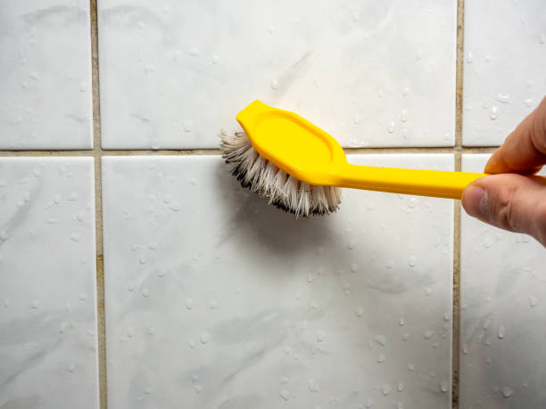 Best Mold Damage Repair  in Durant, OK