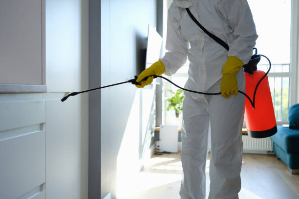 Best Professional Mold Removal  in Durant, OK