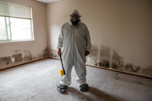 Water Damage Restoration in Durant, OK